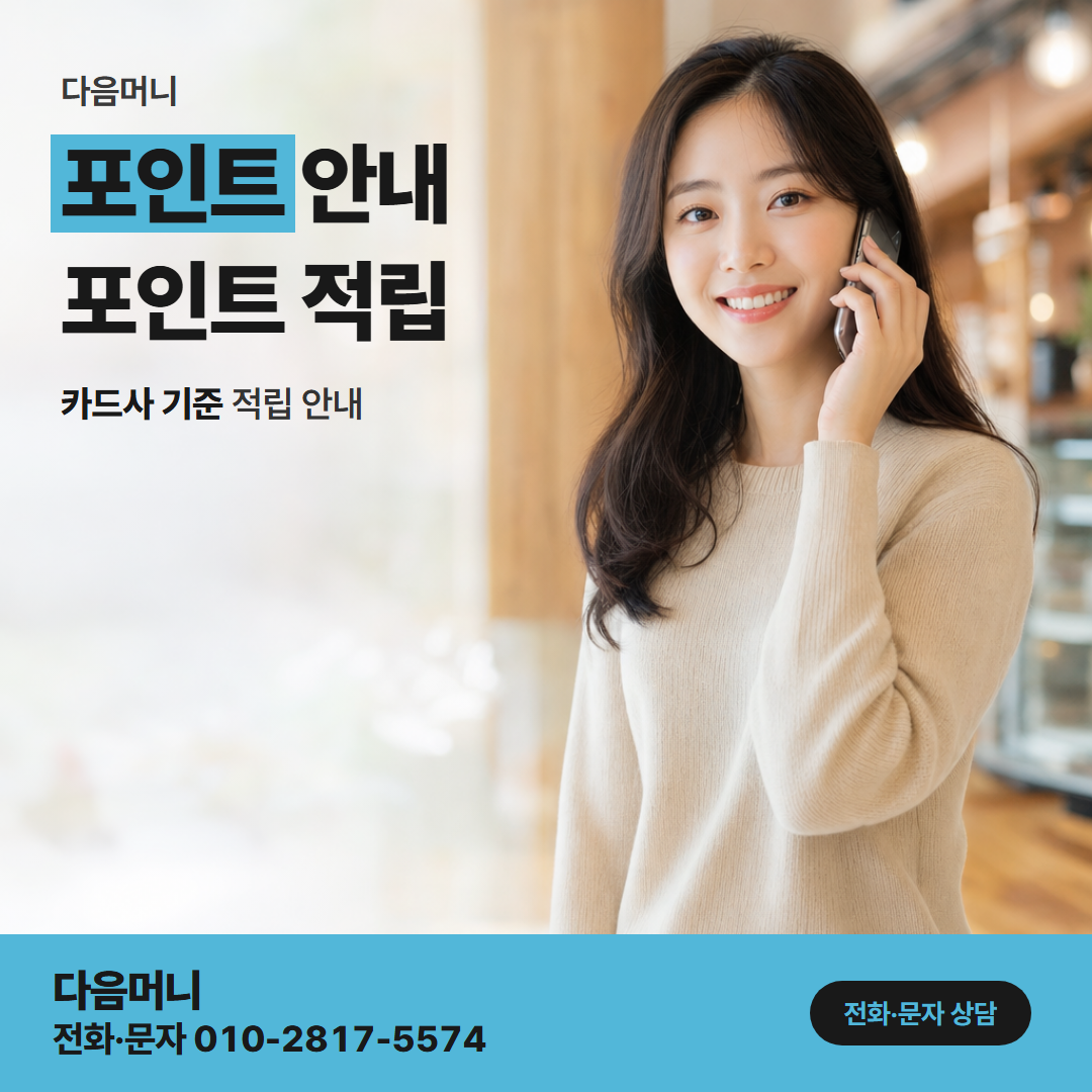 다음머니 현대카드할부현금화 할부 결제에 쌓이는 카드 포인트